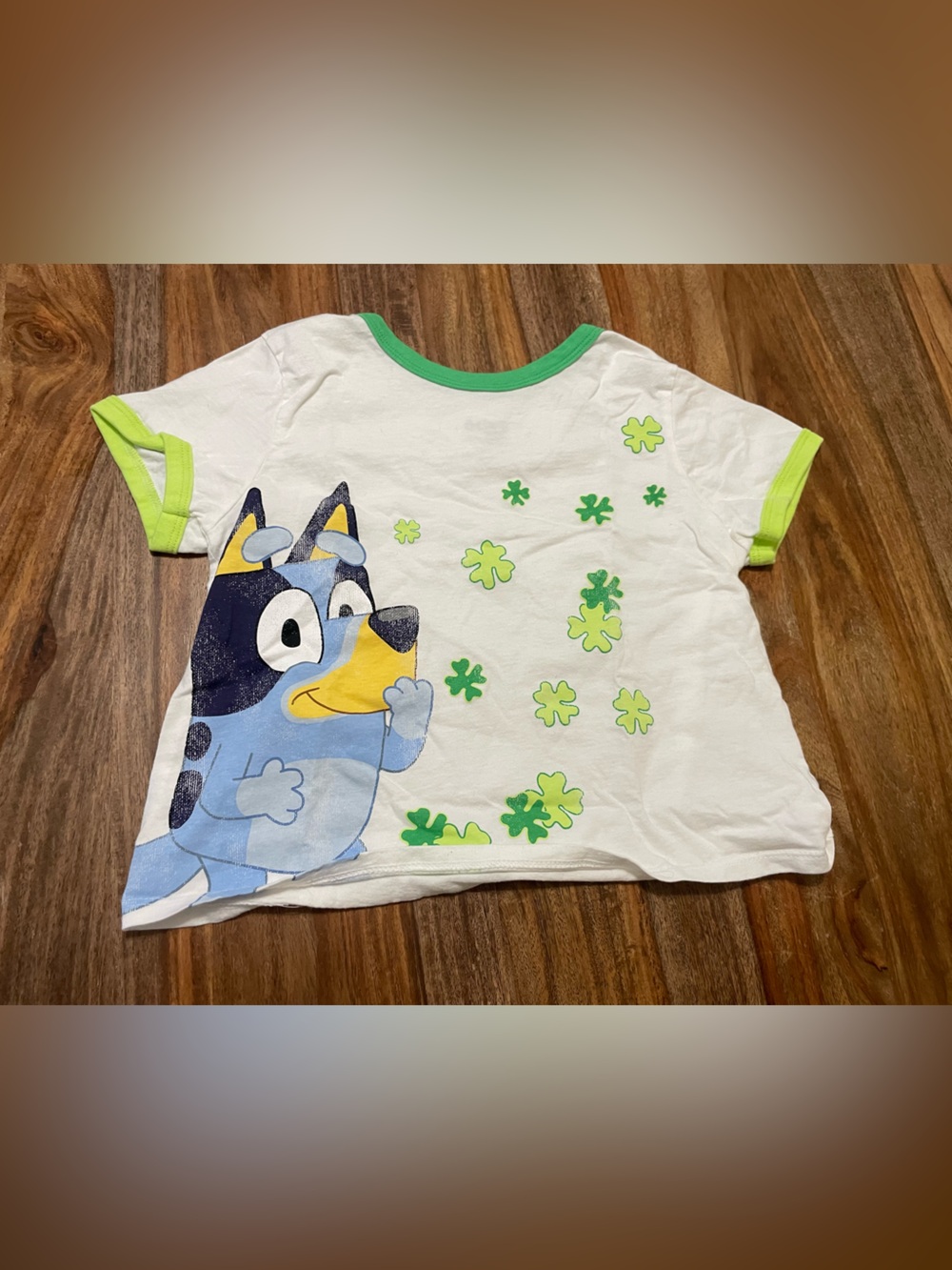Bluey Graphic Tee